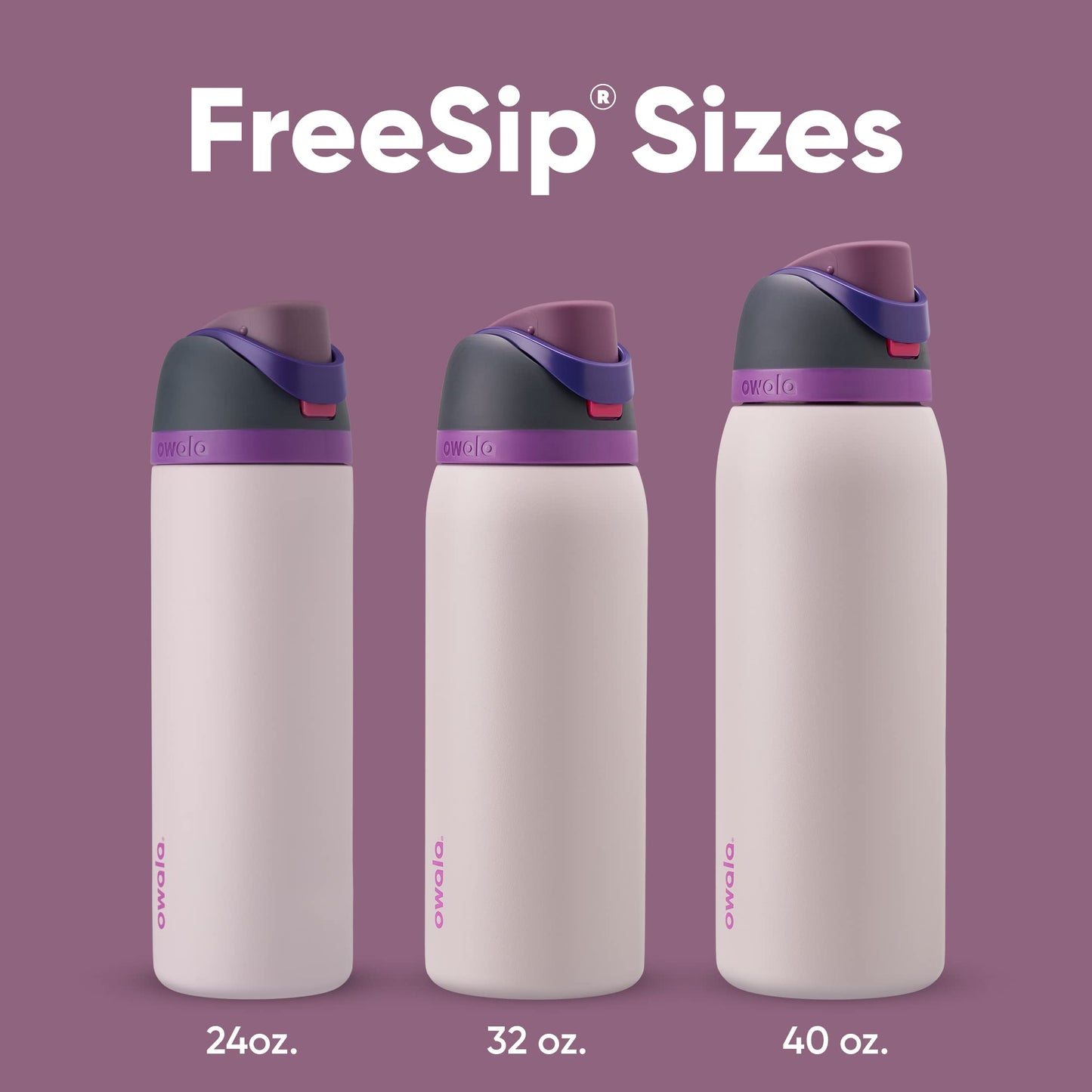 Owala FreeSip Insulated Stainless Steel Water Bottle with Straw for Sports and Travel, BPA-Free, 24oz, Dreamy Field